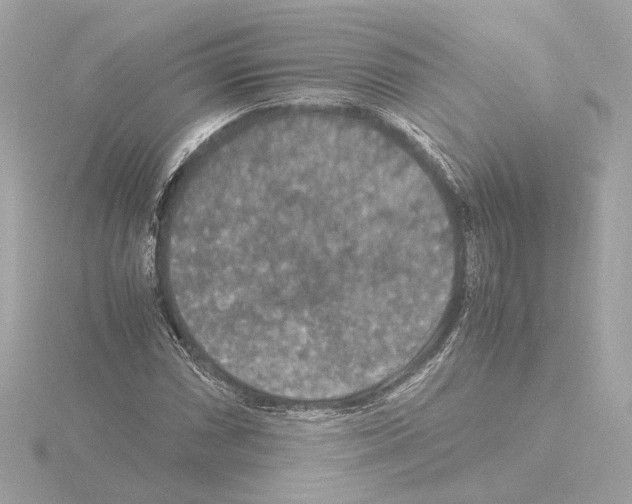 X0000115511066200912181440