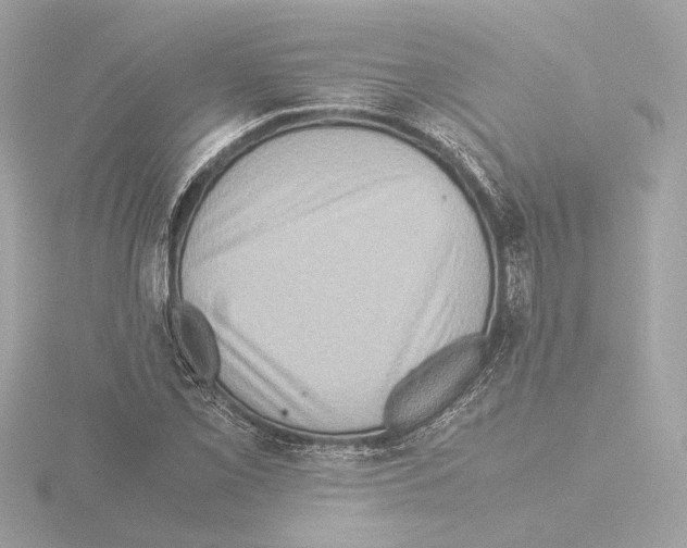 X0000115511069200912181440