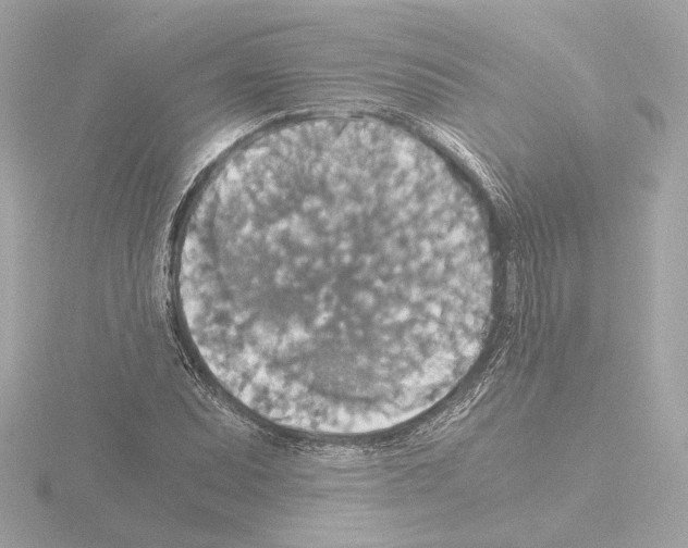 X0000115511071200912181440