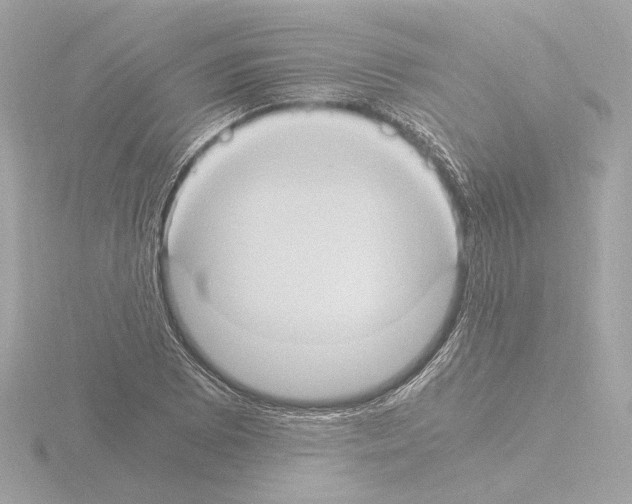 X0000115511073200912181440