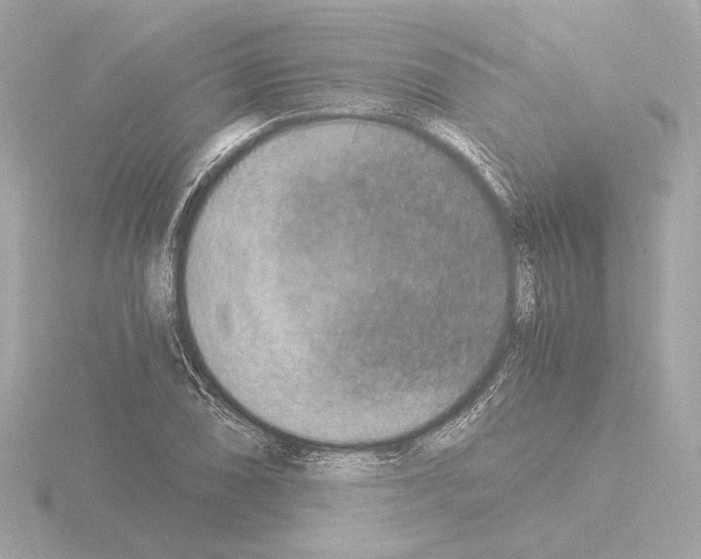 X0000115511074200912181440