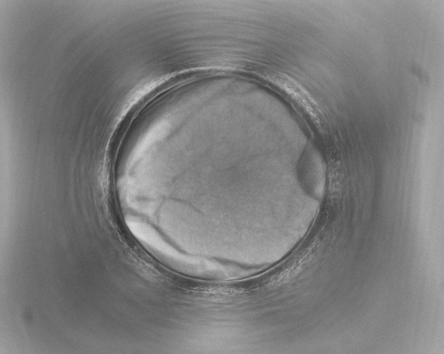 X0000115511077200912181440