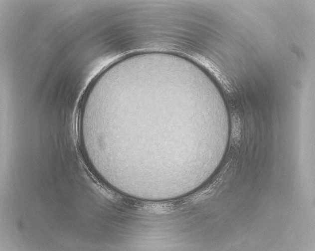 X0000115511078200912181440