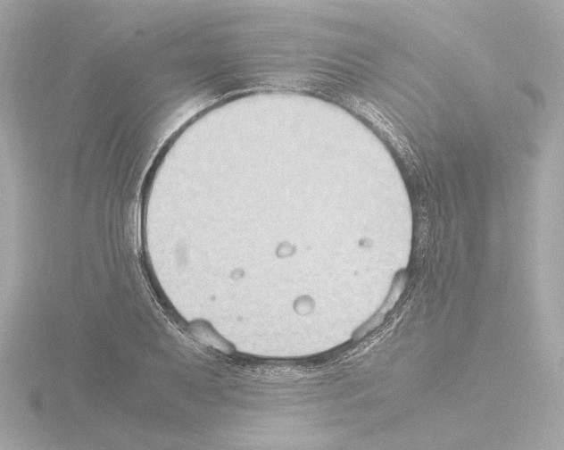 X0000115511079200912181440