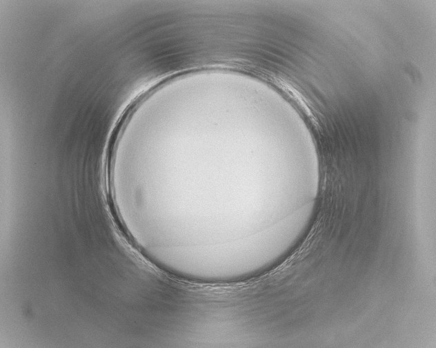 X0000115511080200912181440