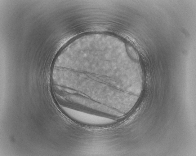 X0000115511081200912181440