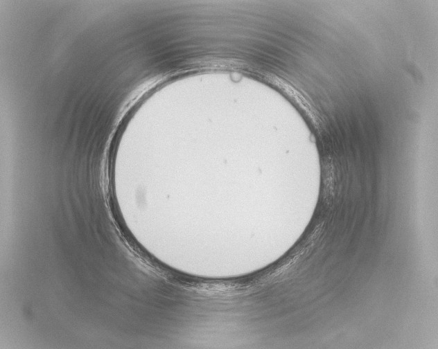 X0000115511082200912181440