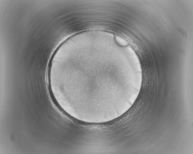 X0000115511084200912181440