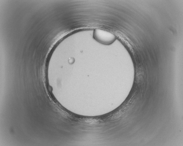 X0000115511085200912181440