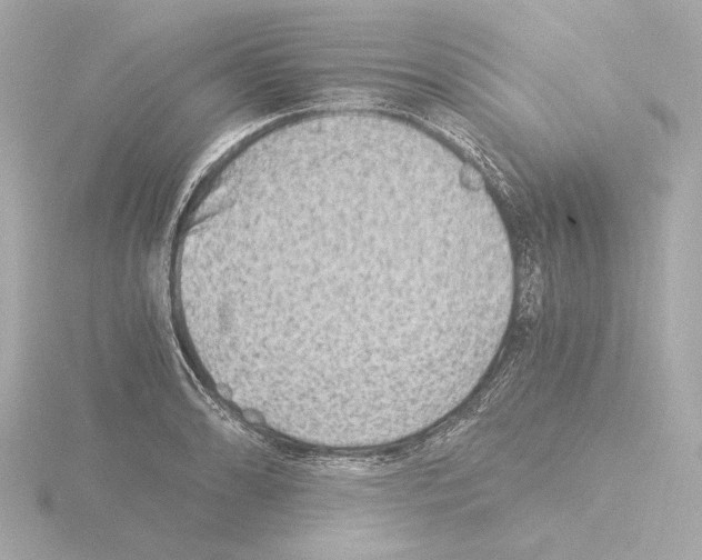 X0000115511086200912181440