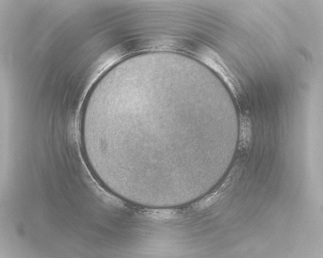 X0000115511090200912181440