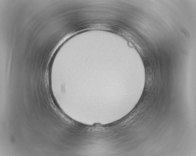 X0000115511092200912181440