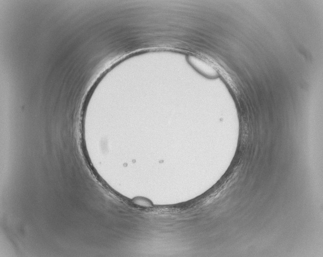 X0000115511093200912181440