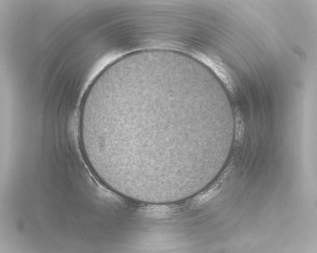 X0000115511094200912181440