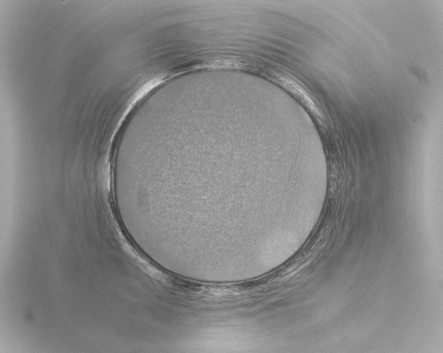 X0000115511095200912181440