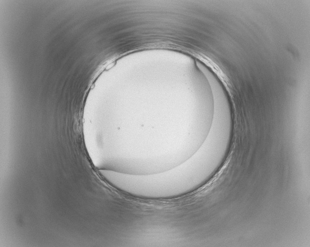 X0000115511097200912181440