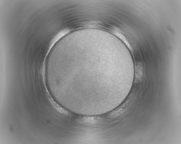 X0000115511098200912181440