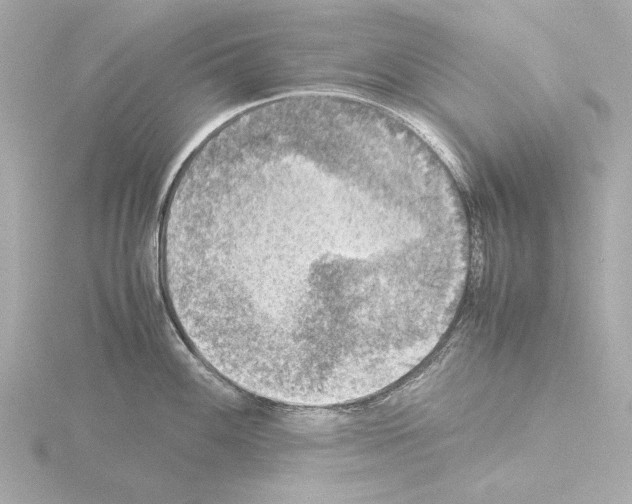 X0000115511100200912181440