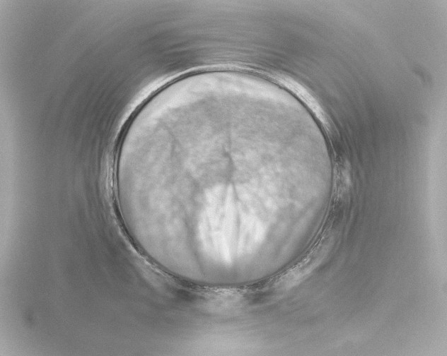 X0000115511101200912181440