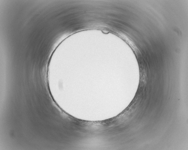 X0000115511103200912181440