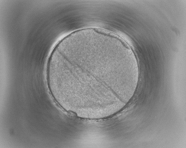 X0000115511104200912181440