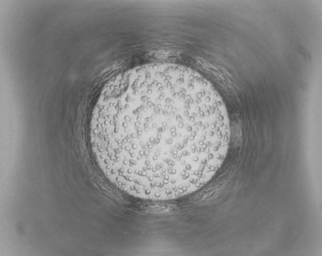 X0000115511105200912181439