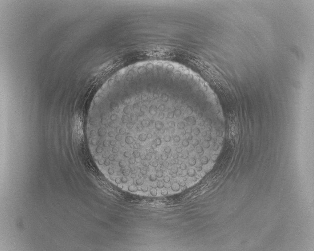 X0000115511106200912181439