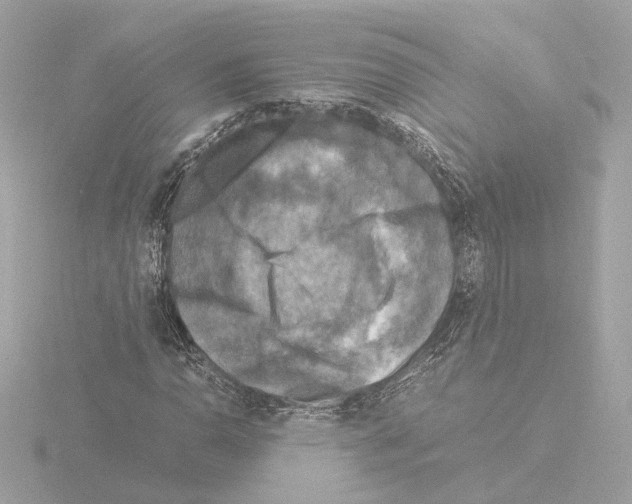 X0000115511110200912181439