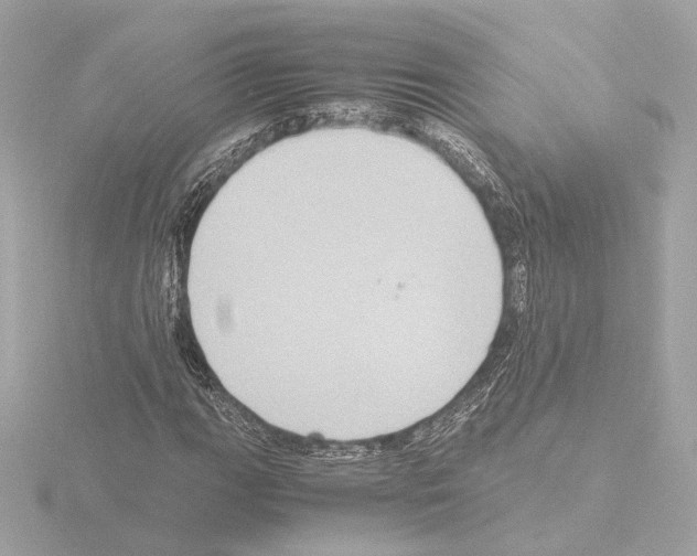 X0000115511111200912181439