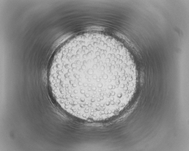 X0000115511113200912181439