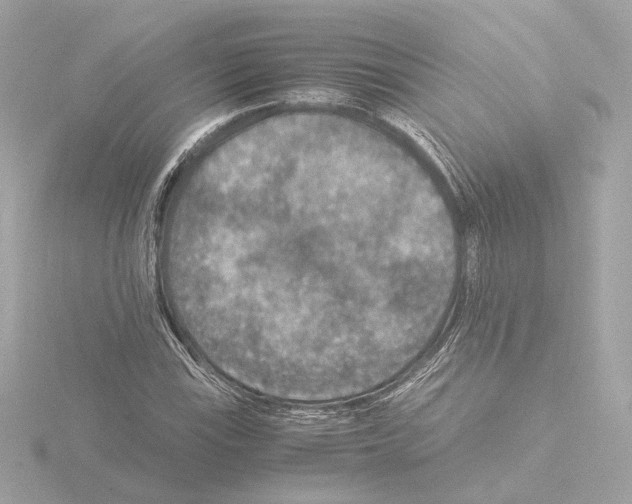 X0000115511115200912181439