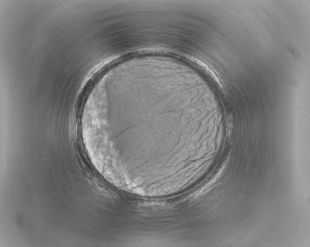 X0000115511117200912181439