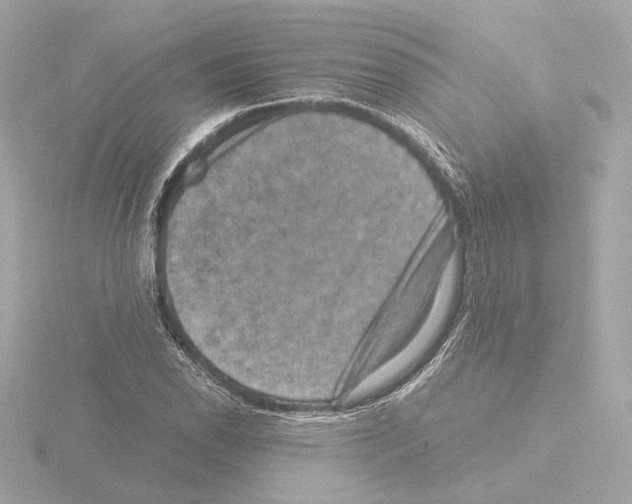 X0000115511118200912181439