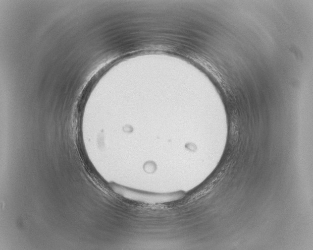 X0000115511119200912181439