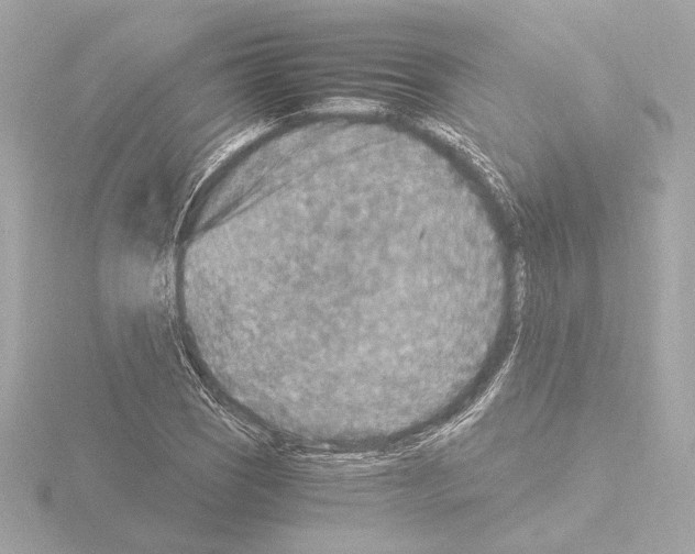 X0000115511121200912181439