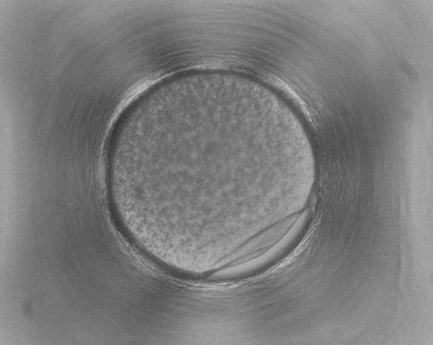 X0000115511122200912181439