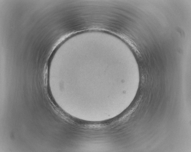 X0000115511126200912181439