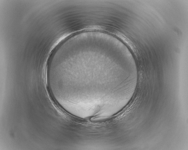 X0000115511127200912181439