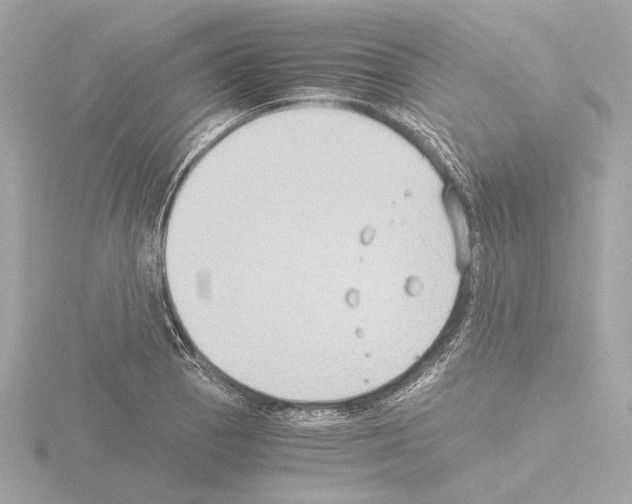 X0000115511129200912181439