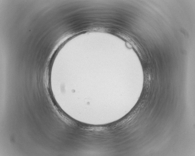 X0000115511131200912181440