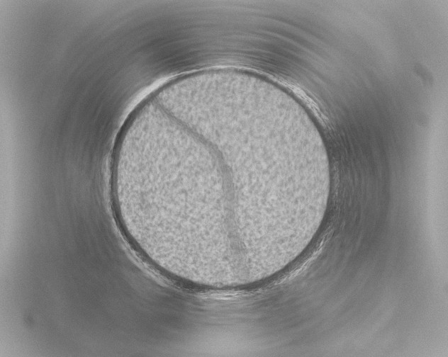 X0000115511134200912181440