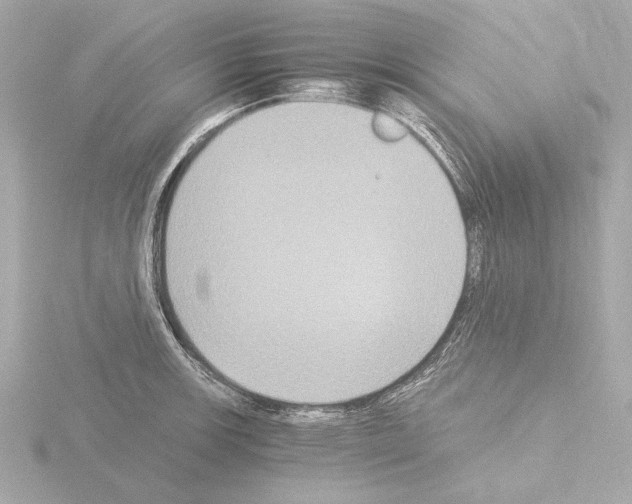 X0000115511139200912181440