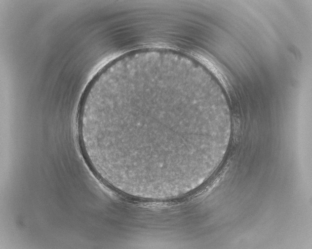 X0000115511141200912181440