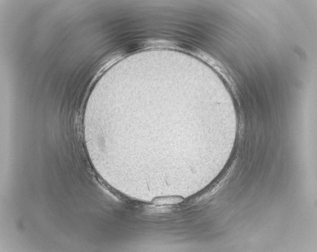 X0000115511145200912181440