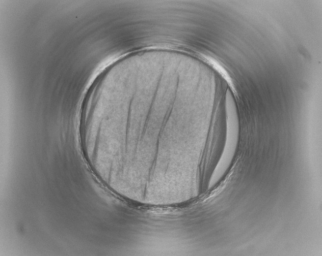 X0000115511146200912181440