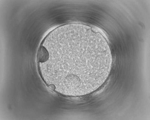 X0000115511149200912181440