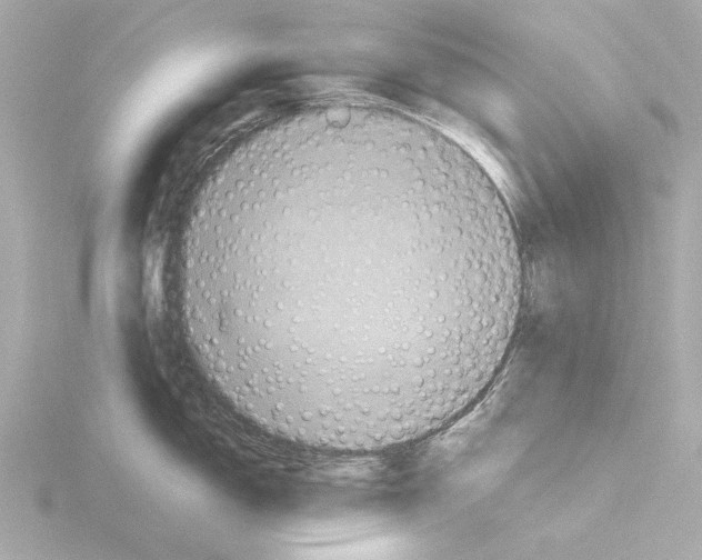 X0000115511150200912181440