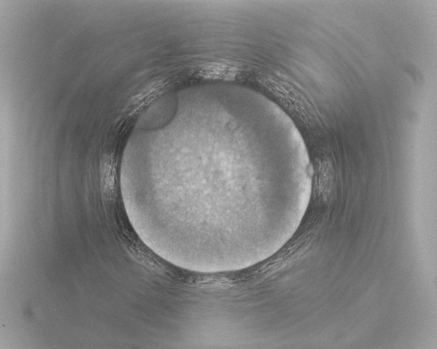 X0000115511154200912181439