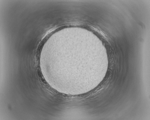 X0000115511160200912181439