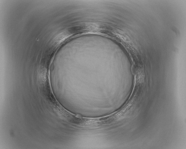 X0000115511161200912181439